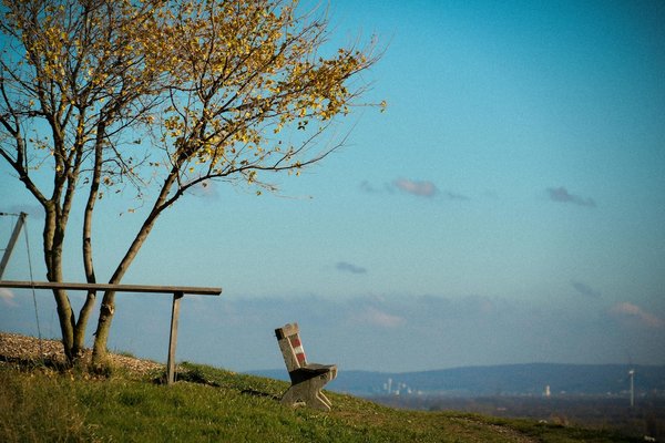 Découvrez comment choisir un praticien certifié en bien-être